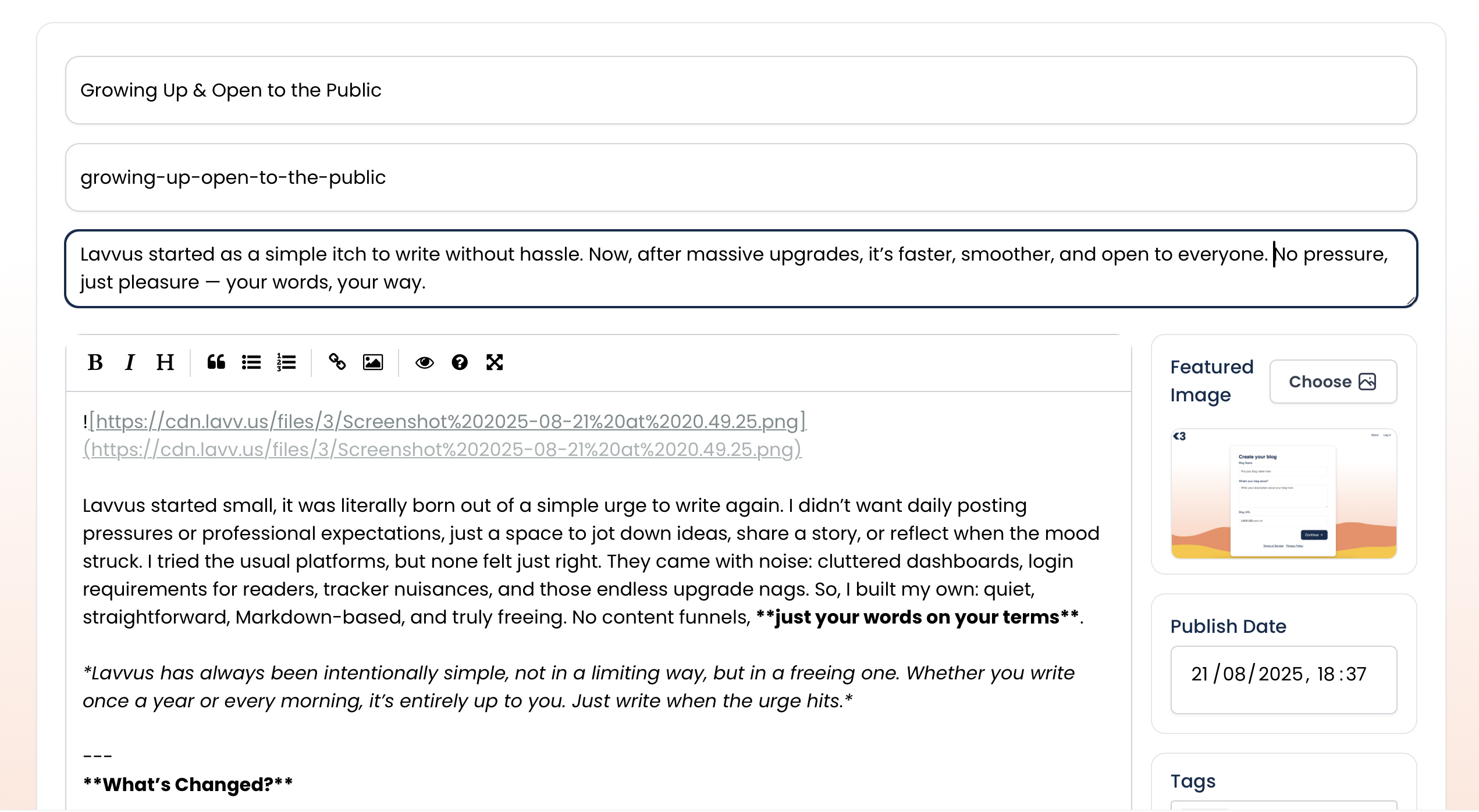 Lavvus writing experience
